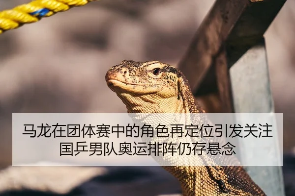 马龙在团体赛中的角色再定位引发关注国乒男队奥运排阵仍存悬念
